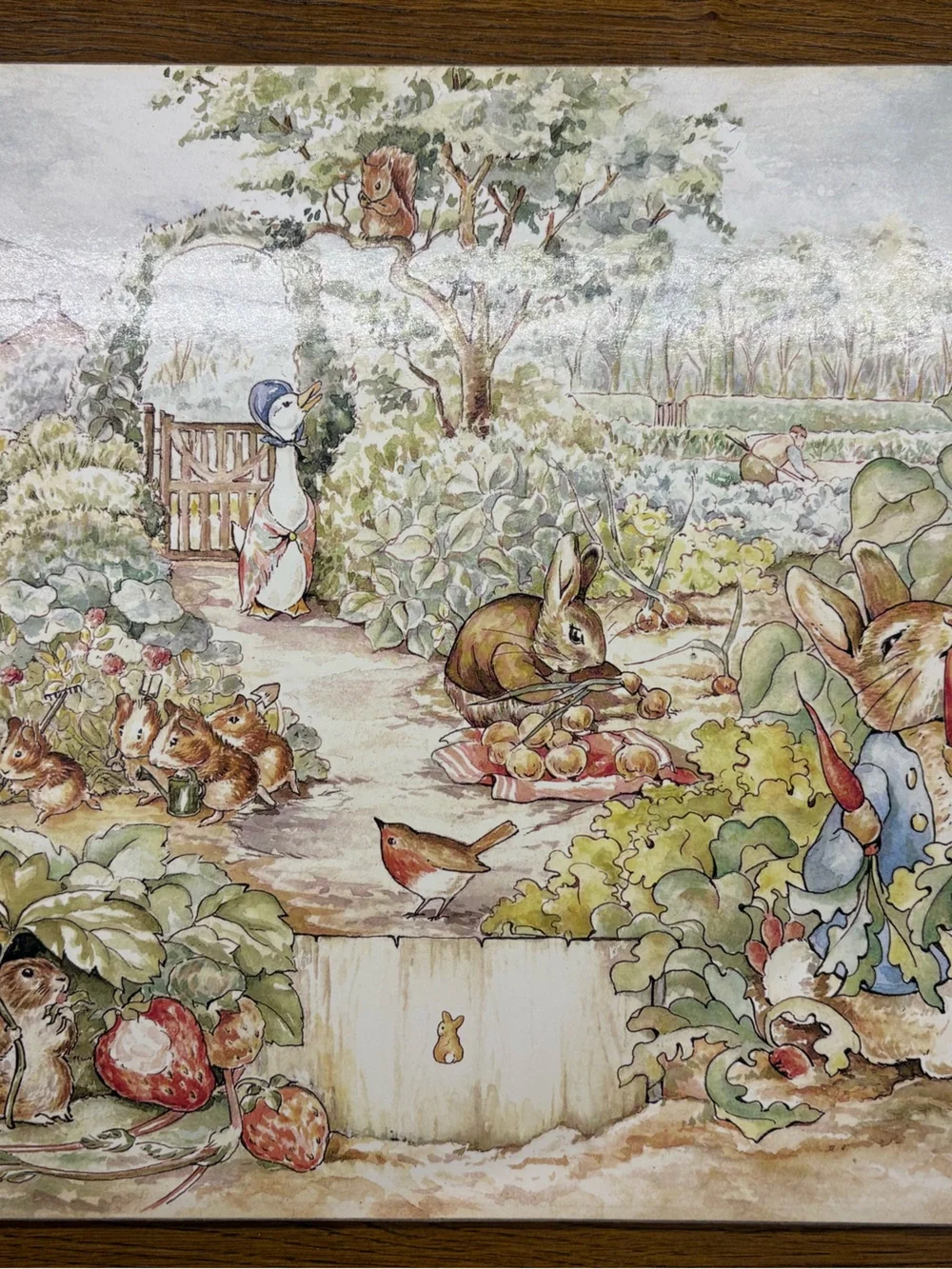 Pottery Barn Beatrix Potter Peter Rabbet set of 4 placemats